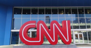 Lying Corporate Media Caused Kamala Voters' Delusional Despair