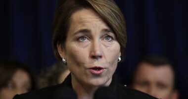 MA Gov Maura Healey Vows to Use ‘Executive Power’ to Resist Trump Deportation Orders, Protect ‘Residents’ – RedState