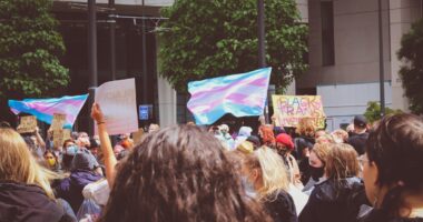 Protesters holding trans flags.