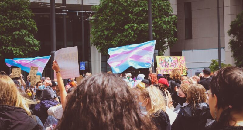 Protesters holding trans flags.