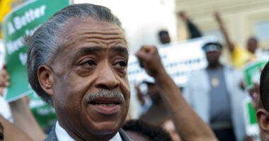 MSNBC Claims It Had No Idea Kamala Paid Al Sharpton $500K Before On-Air Interview.