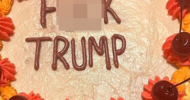 Madonna 'stuffed' her face with a cake iced with the phrase 'F*** TRUMP' by her personal chef Pia Hambour on Wednesday night after the shocking US presidential election results