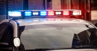 Say WHAT?! Man Reportedly Arrested At U.S. Capitol With Torch & Flare Gun