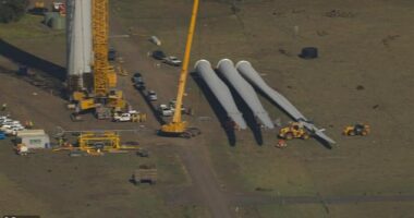 A man is dead following a wind-farm accident in Victoria. The scene is pictured