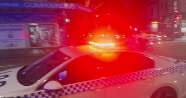 Police have swarmed to the intersection of Cleveland and Bourke Streets in Surry Hills after reports a man was shot around 8pm on Friday