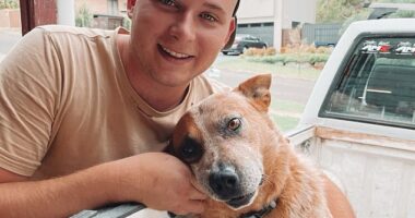 Adelaide man Lewis Parkin, 23 (pictured) died after being allegedly stabbed on Friday