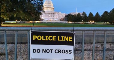 An individual was arrested by U.S. Capitol Police after entering the Capitol visitor center smelling like fuel and carrying a torch and flare. The frightening incident was reported around 1.45pm ET and the visitor center was promptly closed