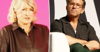 Martha Stewart claims neighbor Ryan Reynolds isn't funny in real life