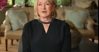 Martha Stewart's ex-husband Andy Stewart, 86, and his wife Shyla Nelson Stewart, 56, have accused the lifestyle guru, 83, of using her Netflix documentary as a vehicle for 'stalking' him