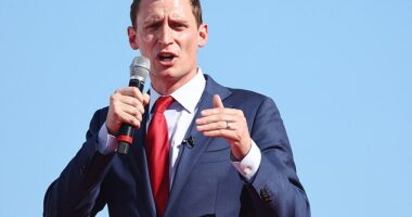 Blake Masters is 'begging' for a role in Donald Trump's administration and most recently has lobbied to be ATF Director, according to three sources familiar with the matter