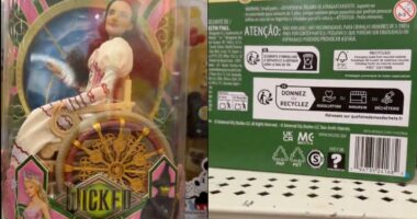 Mattel apologizes after Wicked doll boxes mistakenly link to porn website