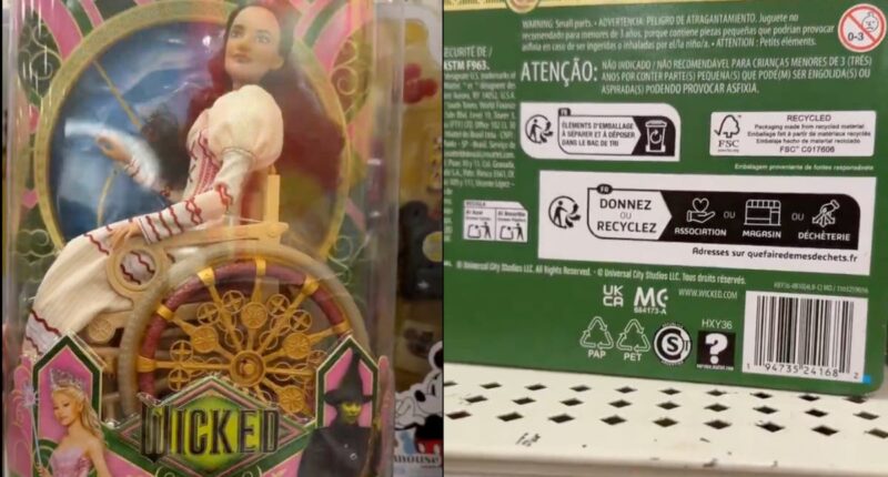 Mattel apologizes after Wicked doll boxes mistakenly link to porn website