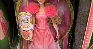 Mattel's highly anticipated 'Wicked' doll collection has been pulled from the shelves after fans spotted an X-rated mistake on the packaging
