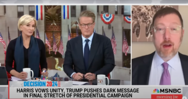 Media Downplay GOP Voter Turnout As Another 'Red Mirage'