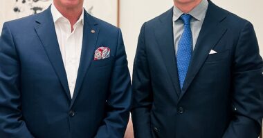 US free speech advocate Michael Shellenberger (pictured right) met with Victorian independent Senator David Van last week in Canberra to lobby against the misinformation Bill