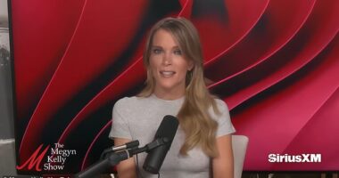 Megyn Kelly described the $1 million charge by Oprah Winfrey's production company to the Kamala Harris campaign as 'grossly unethical.'