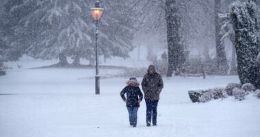 Met Office gives verdict on where snow could fall in UK in November