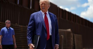 Donald Trump announced on Wednesday he and the Mexican President Claudia Sheinbaum have reached a major immigration deal 'effective immediately'
