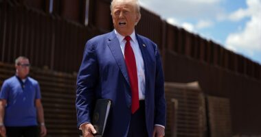 President-elect Donald Trump announced a major breakthrough on border talks, claiming Mexican President Claudia Sheinbaum has vowed to stop illegal migration into the U.S. 'effective immediately.' The huge shift in policy would help the U.S. stem the flow of historic levels of illegal immigration through the border the two countries share - the number one political issue Trump vowed to address on the campaign trail.