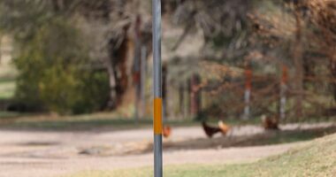 With just 494 residents inside the city limits and 803 in all of Roberts County, only 17 votes were cast for the Democratic presidential candidate Joe Biden in 2020