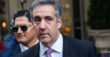 Donald Trump¿s one-time fixer turned fierce critic Michael Cohen is calling for the hush money case against the president-elect to be thrown out following the November election. Cohen served as a star witness for the prosecution in the trial against Trump earlier this year in the Manhattan criminal court.