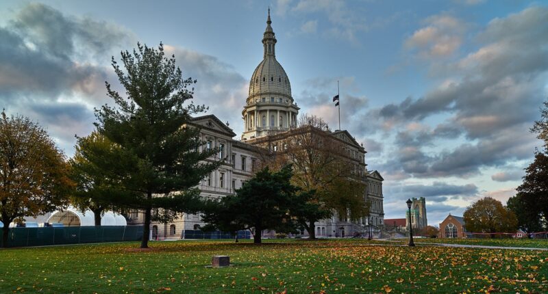 Michigan Democrats Push To Ban Unapproved Election Speech
