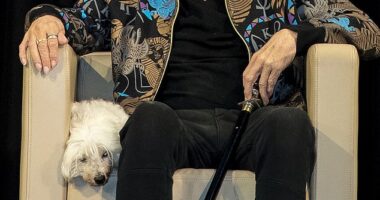 A statue immortalising Australian music industry icon Ian ¿Molly¿ Meldrum (pictured) has been vandalised for a second time