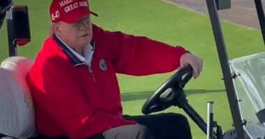 Video emerged showing President-elect Donald Trump complimenting a young girl's hairdo before offering her 'millions' for it and taking a picture with the kid