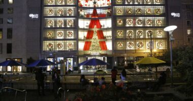 More retailers squeeze in earnings reports before Black Friday with holidays and tariffs in focus