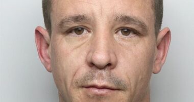 Benjamin Guiver (pictured), 34, snuck into the woman's house after she fell asleep in front of the television on May 24 this year