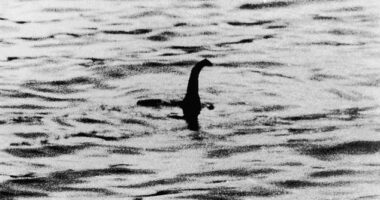 A strange natural phenomenon could unravel the mystery of Loch Ness Monster sightings, according to an expert researcher