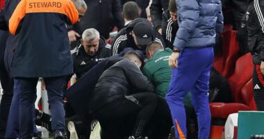 Medical staff rushed to the aid of Hungary coach Adam Szalai in Amsterdam on Saturday night