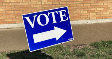 Nevada Voters Overwhelmingly Approve Voter ID, Reject RCV