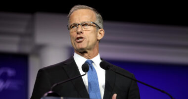 New Majority Leader John Thune Signals Senate RINOs Will Block Trump's Cabinet Picks.