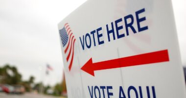 No, Trump’s Victory Doesn’t ‘Lay To Rest’ Election Integrity Issues