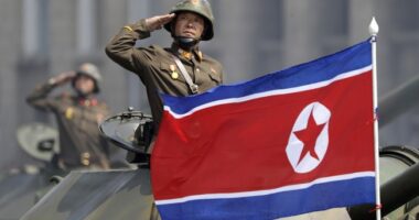North Korean Troops Moved to Kursk Combat Zone – RedState