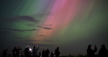 Americans are expected to see stunning northern lights on Thanksgiving after the sun released a burst of energy Sunday
