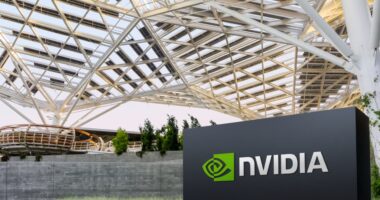 Nvidia is the most ‘monopolistic and powerful’ stock this money manager has ever seen