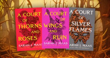 One Harsh Reality About The Court Of Thorns & Roses Books Could Benefit The Hulu Show