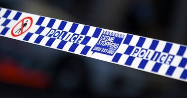 The Super Puma helicopter crashed 15km west of One Tree, near Hay, at about 10am on Friday during a journey from Broken Hill to Albury ( pictured stock image)