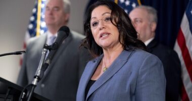 PRO-Act Sponsor Lori-Chavez-DeRemer Is Not Fit to Be Labor Secy – RedState