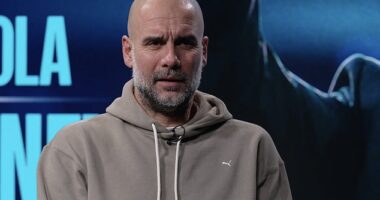 Pep Guardiola has insisted that 75 per cent of Premier League clubs want Manchester City 'to be relegated immediately'