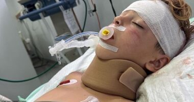Joshua Schuetz, 8, suffered traumatic injuries after a quad bike he was travelling on flipped
