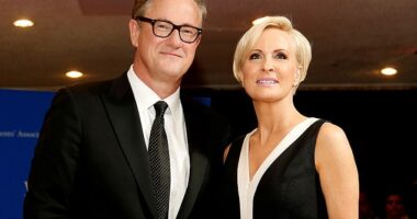 The hosts of Morning Joe held their secret meeting with Donald Trump over fears the president would have Matt Gaetz lead a probe into the 2001 death of a Joe Scarborough intern