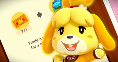 Pocket Camp Complete Includes Another New Currency Great For Returning Players