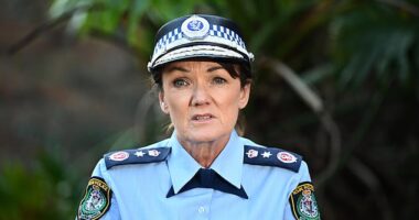 NSW Police Commissioner Karen Webb (pictured) said Constable White had been suspended with pay throughout the proceedings, but that status is now under review