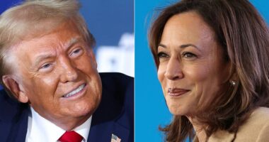 Presidential election 2024 live: Trump and Harris hold last rallies before Election Day
