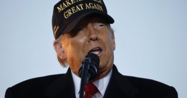 Presidential election odds live: Betting markets show Donald Trump's lead growing