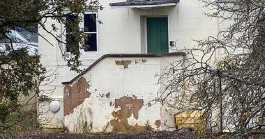 Prince Andrew's mansion has fallen into disrepair, with cracks and mould appearing on the outside walls