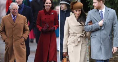 Prince Harry, Meghan Markle did not receive invite to royal family Christmas at Sandringham: source
